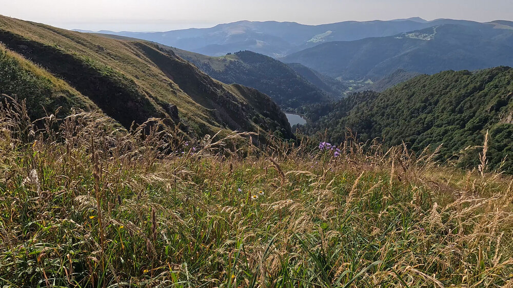 Ausblick Lac de Schiessrothried vom Col du Wormspel nahe Le Hohneck