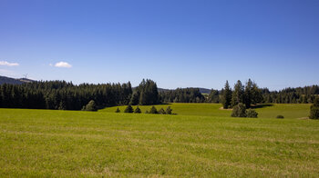 Wiesen- und Wälderlandschaft auf der Blindenhöhe