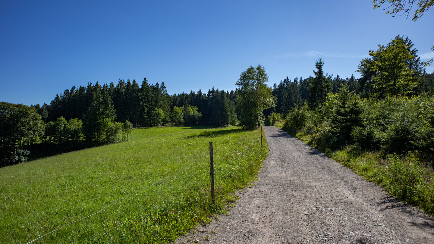 der Westweg oberhalb der Bregquelle