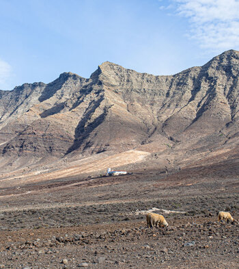 Villa Winter bei Cofete mit dem Pico de la Zarza auf Fuerteventura im Hintergrund