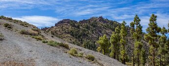 Der Montaña Gangarro liegt im Teide Nationalpark