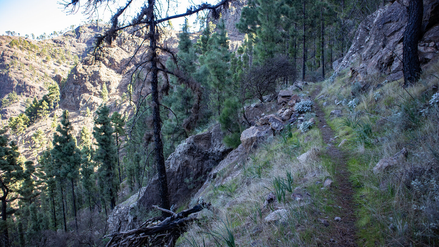 Wanderroute entlang der Felsschluchten am Altavista