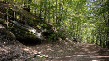 gemütlicher Wanderweg zwischen Erbsenfelsen und Burg Waldeck