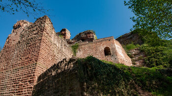 die Ruine der Burg Drachenfels