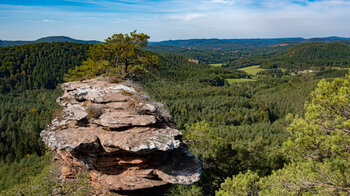 Ausblick über den Buchkammerfels auf den Pfälzerwald