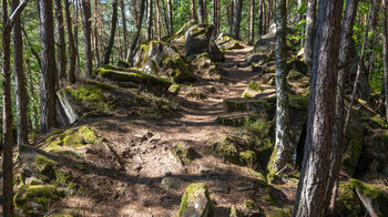 der Wanderpfad zwischen Felsformationen am Heidenberg