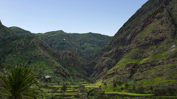 terrassierte Felder in der Schlucht des Barranco de Agaete auf Gran Canaria