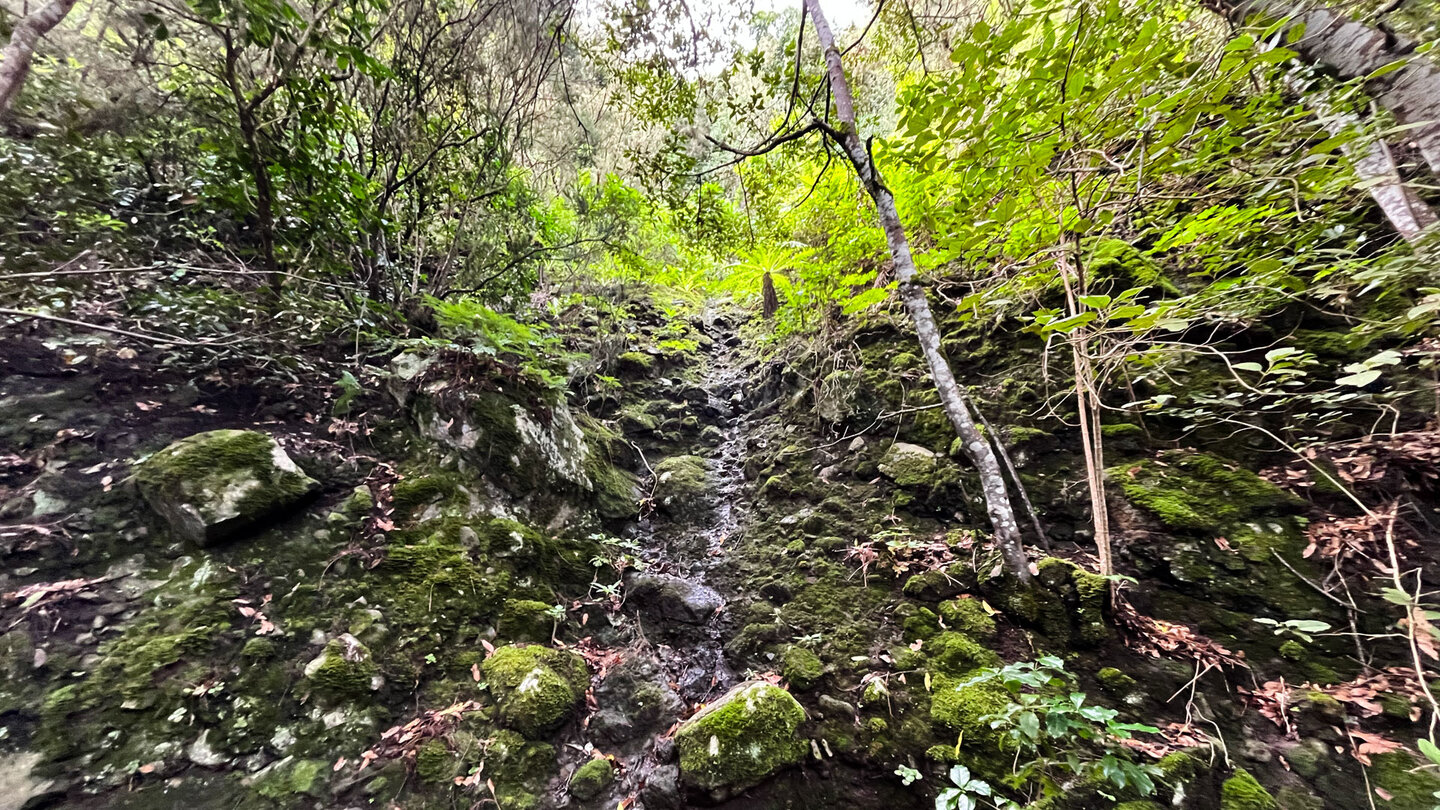 trocken gefallener Wasserlauf am Wanderweg