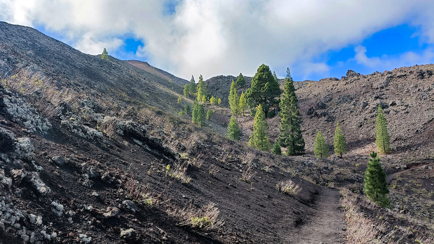 Wanderpfad durch die Lavafelder im Naturreservat Chinyero