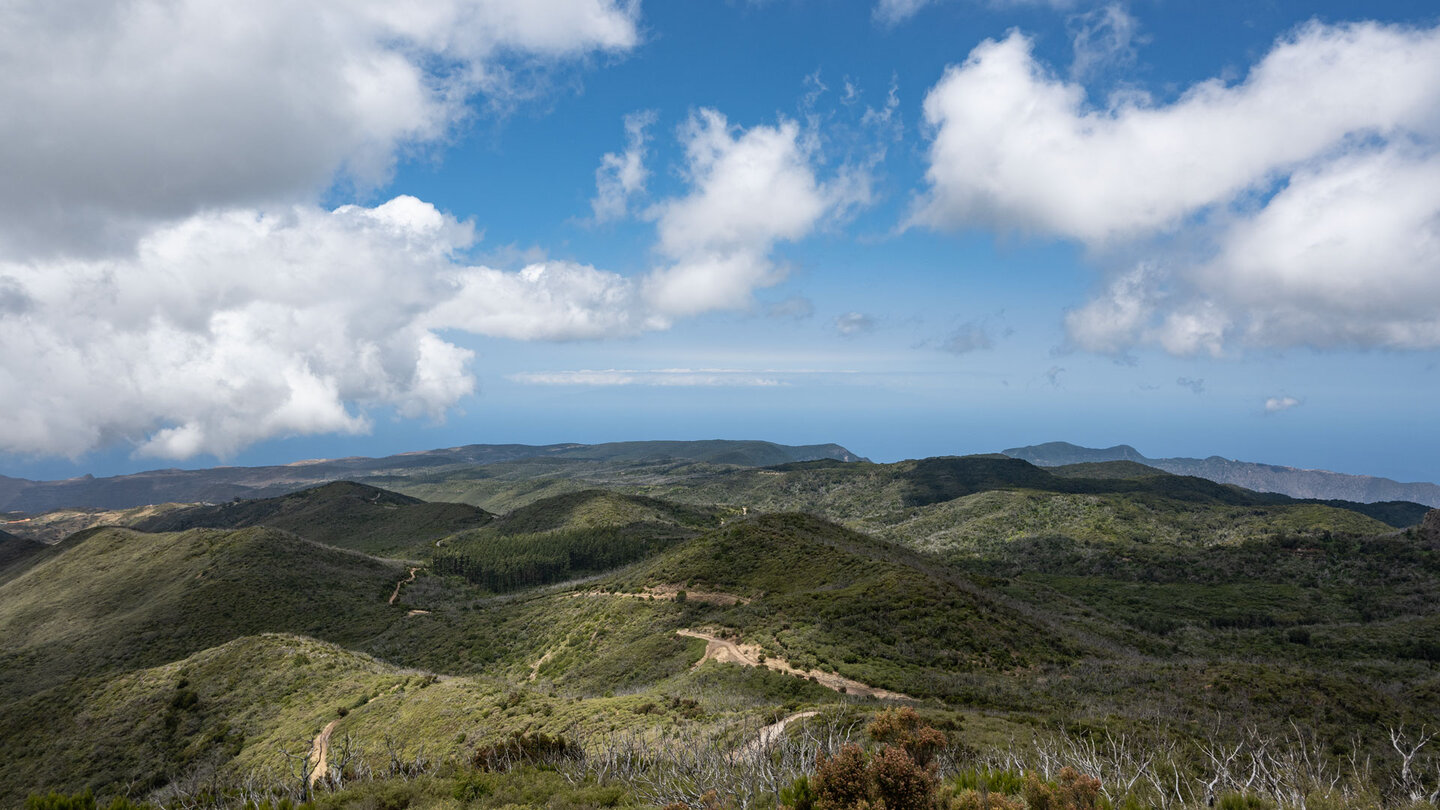 Ausblick über die Fayal-Brezal Vegetation des Garajonay Nationalparks