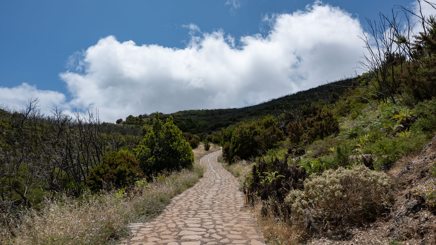 gepflasterter Wanderweg La Laguna Grande - Alto de Garajonay