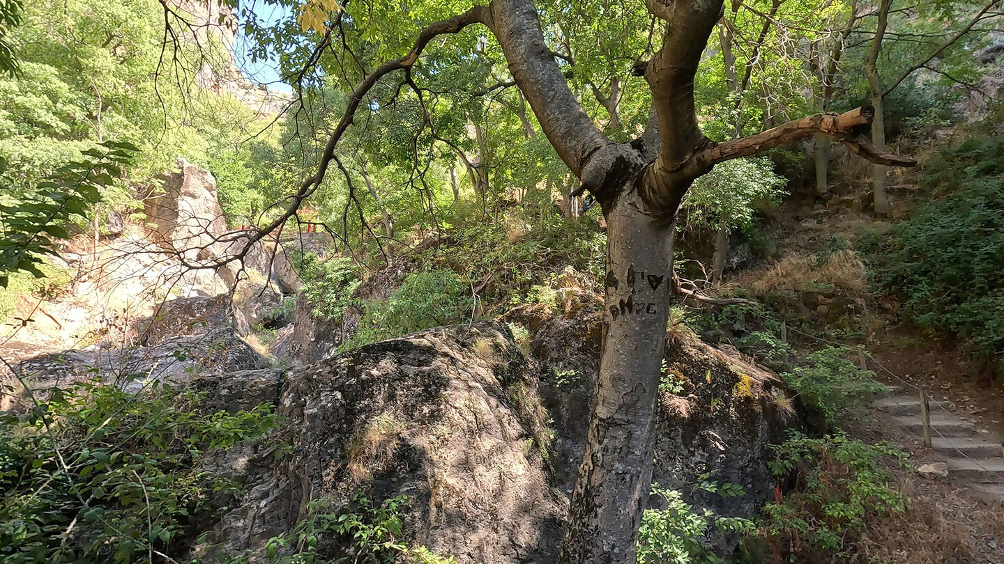 Wanderweg steigt über Treppen in der Monachil-Schlucht auf