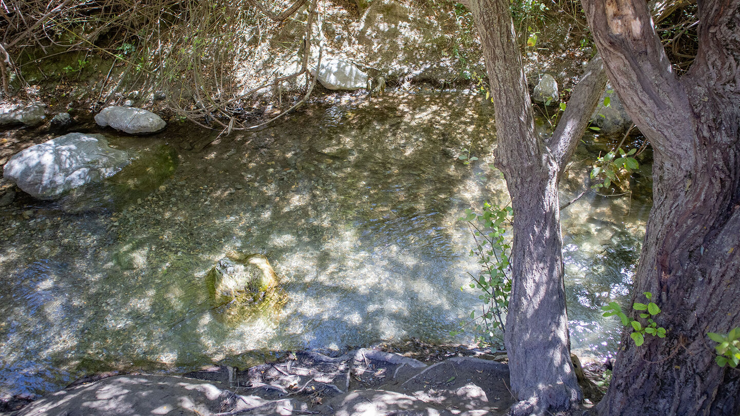 grünlich schimmerndes Wasser des Río Monachil