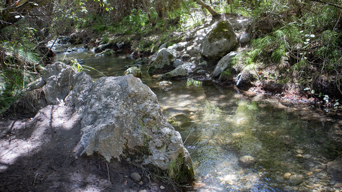 am Bachlauf des Río Monachil