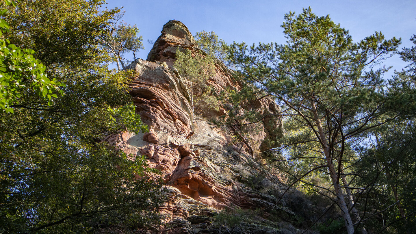 Blick auf den Elwetritschefelsen vom Wanderweg