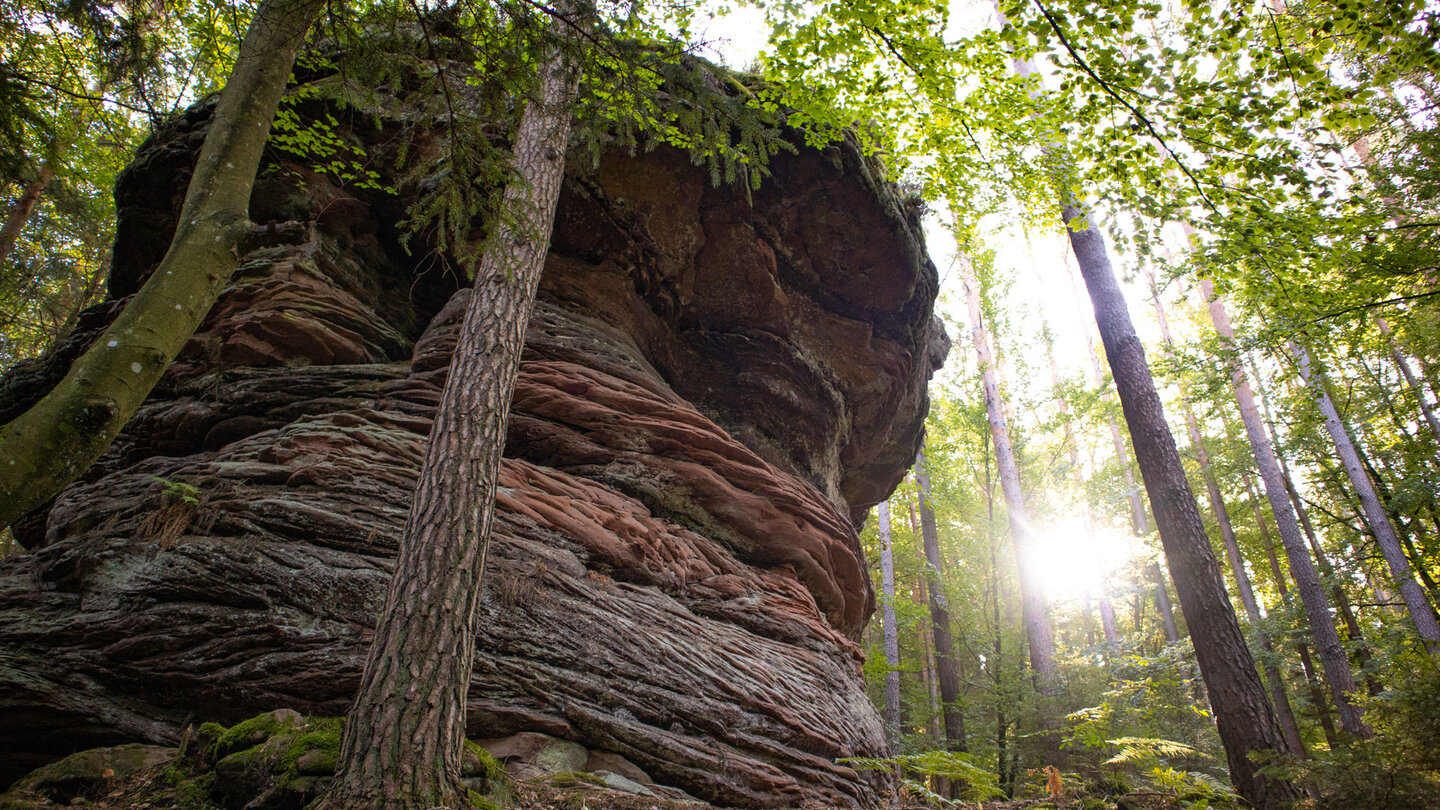 die Sandsteinformation Schusterbänkl im lichten Buchewald