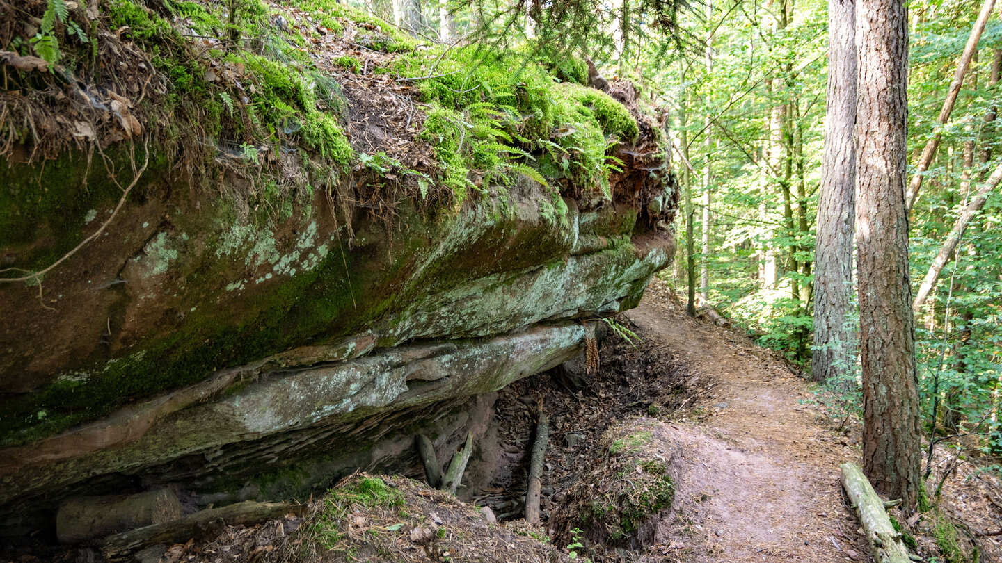 Wanderweg zum Jakobsfelsen