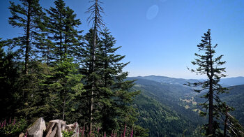 Aussicht über das Tal von Stosswihr vom Sentier des Roches