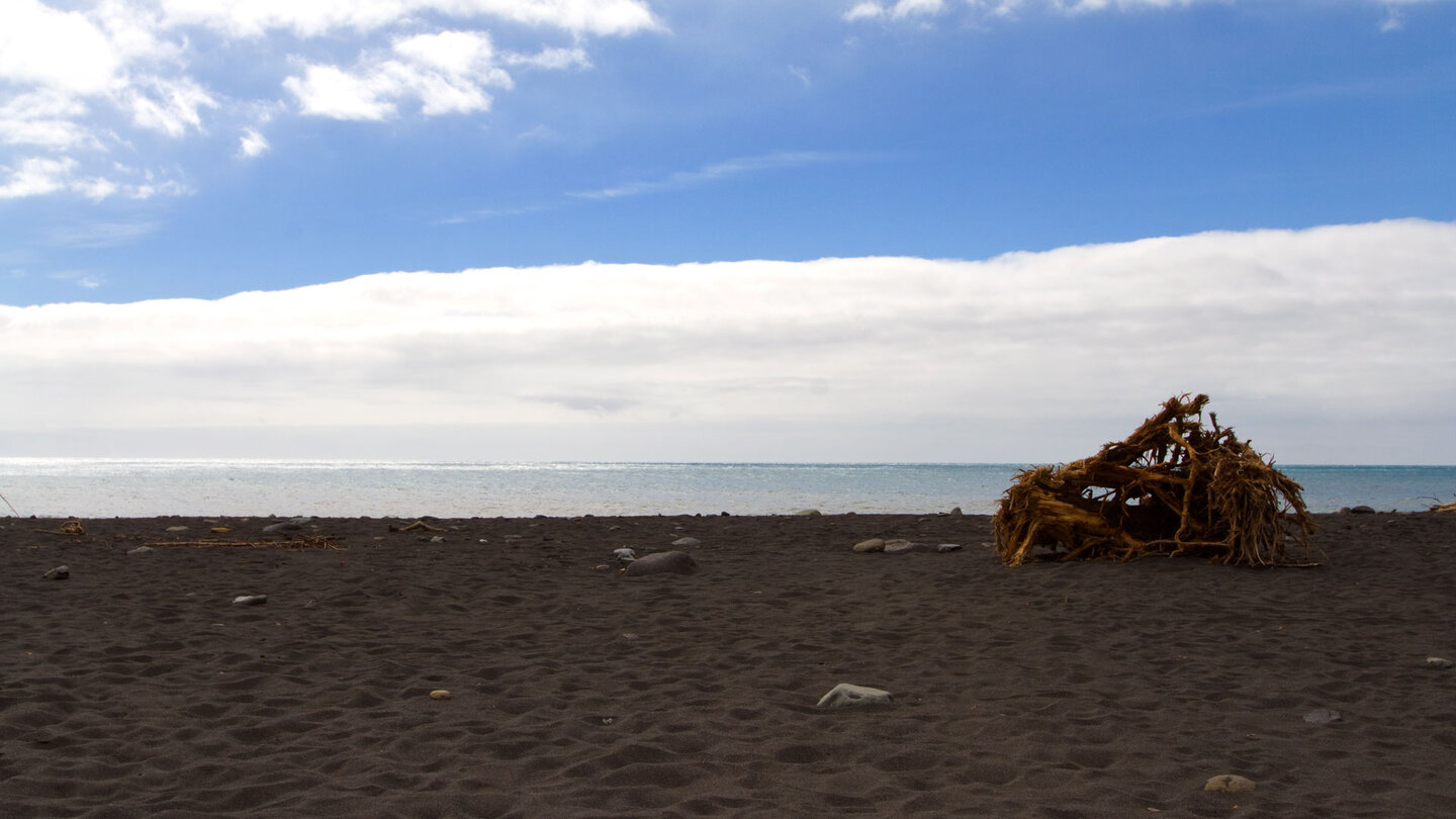 Strandgut am Playa Grande bei Puerto de Tazacorte