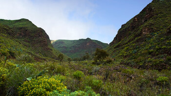 Blick in den Barranco de Guayadeque auf Gran Canaria