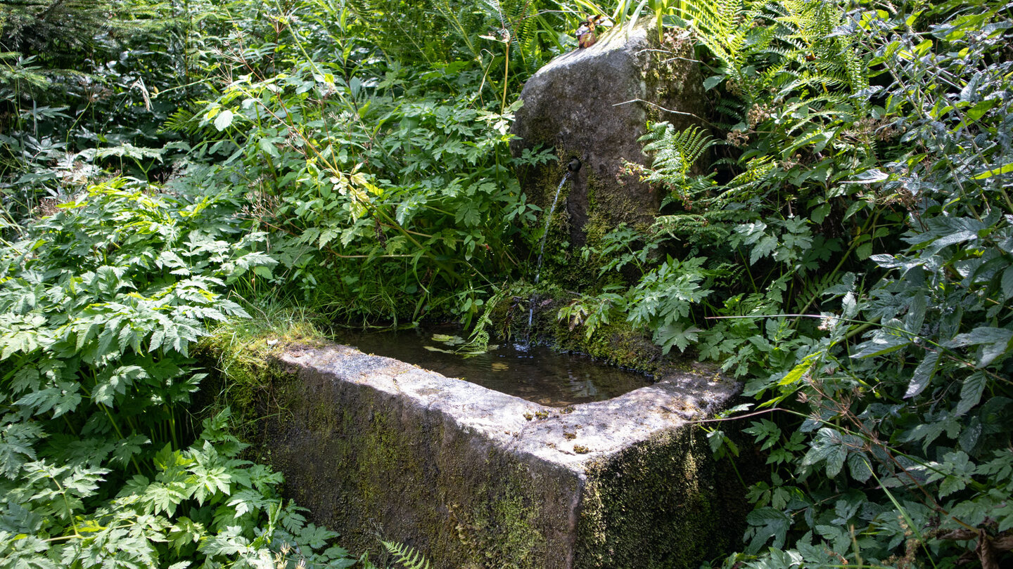 alter Brunnen bei der Wiesenhütte im Tonbachtal