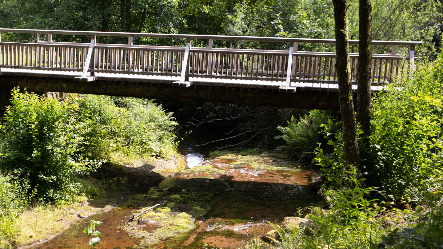 die Wanderung führt auf zahlreichen Brücken über den Tonbach