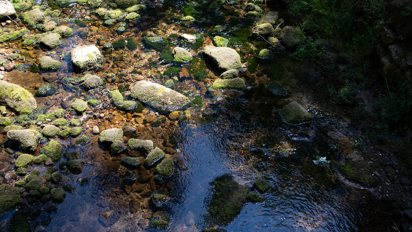 das klare Wasser des Tonbaches