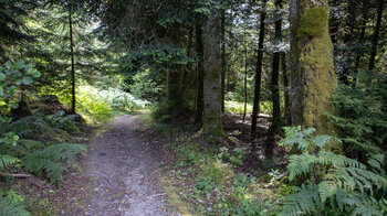 Wanderung entlang der Holzmachertour