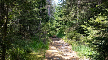 Wanderweg auf der Hochebene Kleemiss