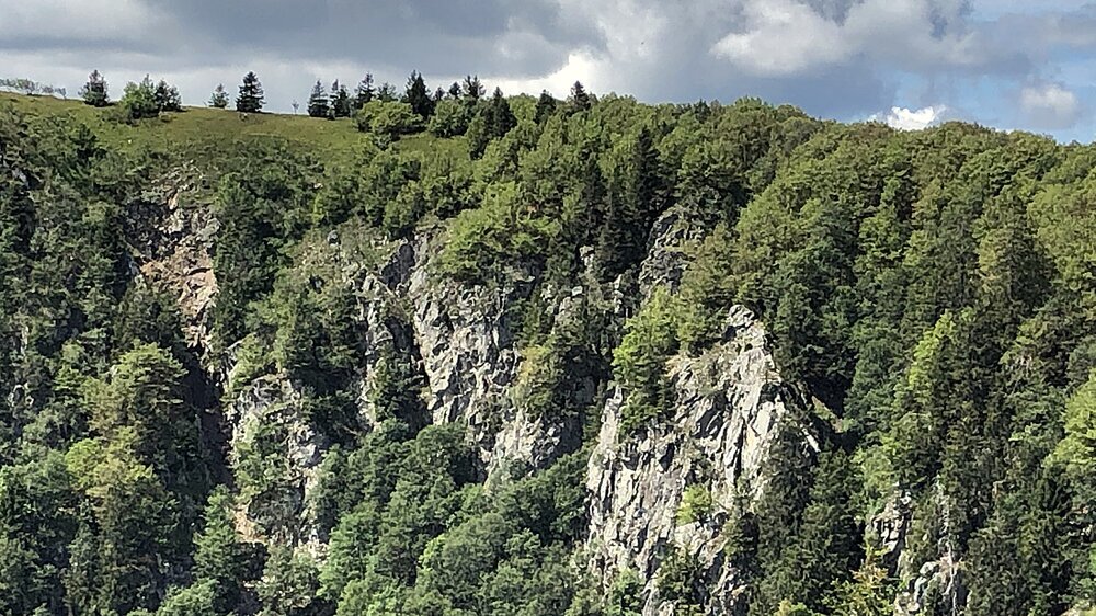 Ausblick auf die Martinswand