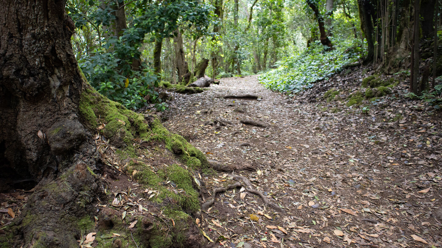 Wanderweg Ruta 2 – Ermita de Lourdes