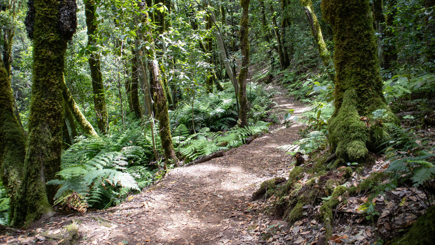 die Wanderung verläuft parallel zum Bauchlauf durch die Cedro-Schlucht