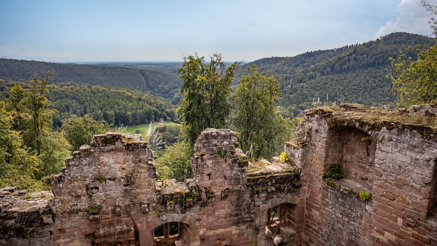 Panoramablick über die Nordvogesen von Neu-Windstein