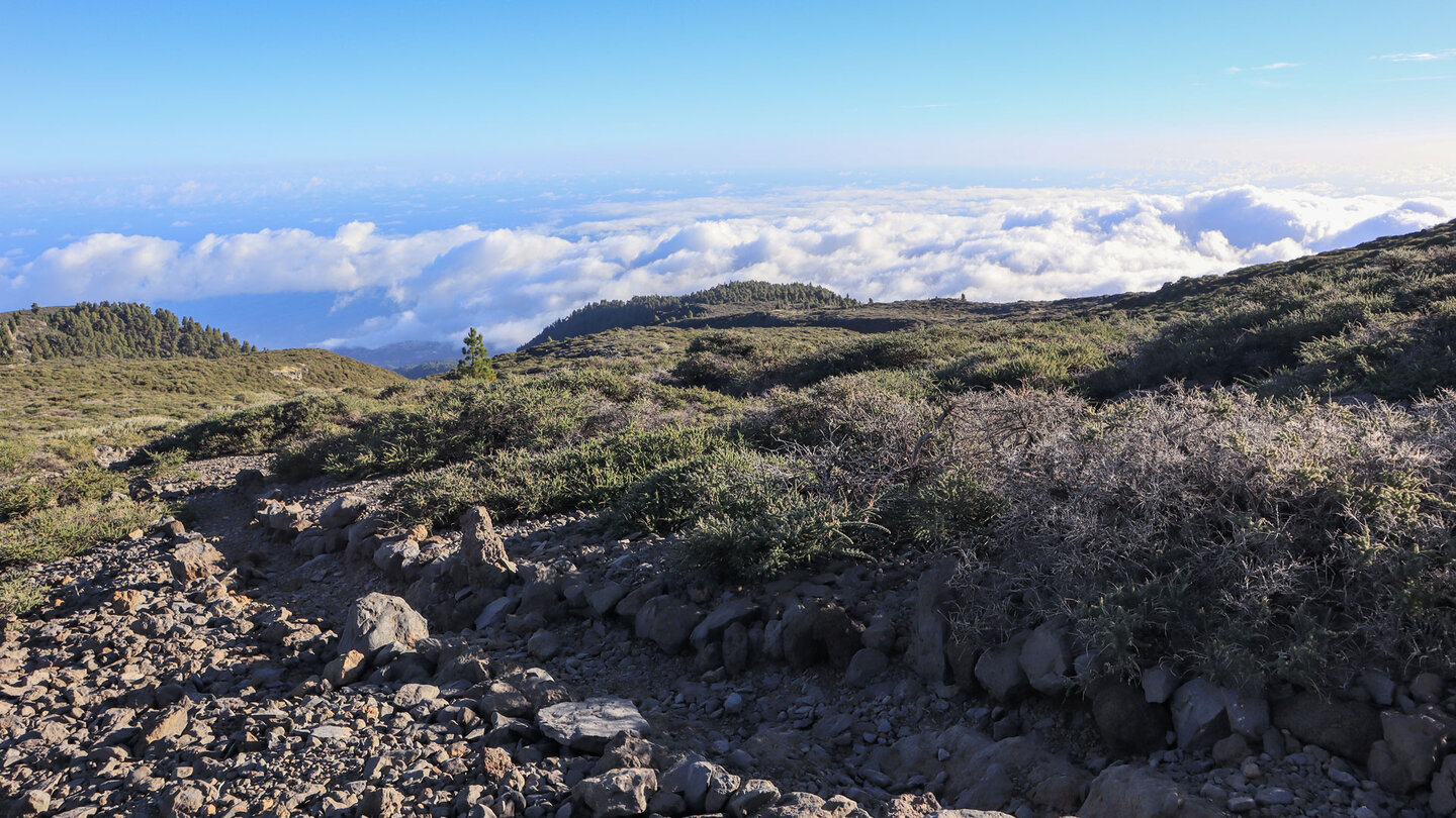 der Wanderweg PR-LP 8 im Hochgebirge der Insel La Palma