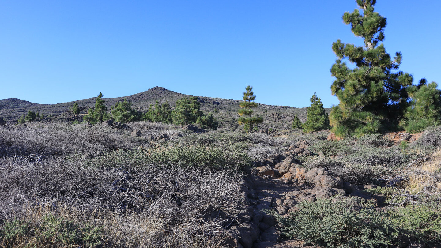 der Wanderweg bietet Ausblicke über die Höhenlagen der Insel La Palma