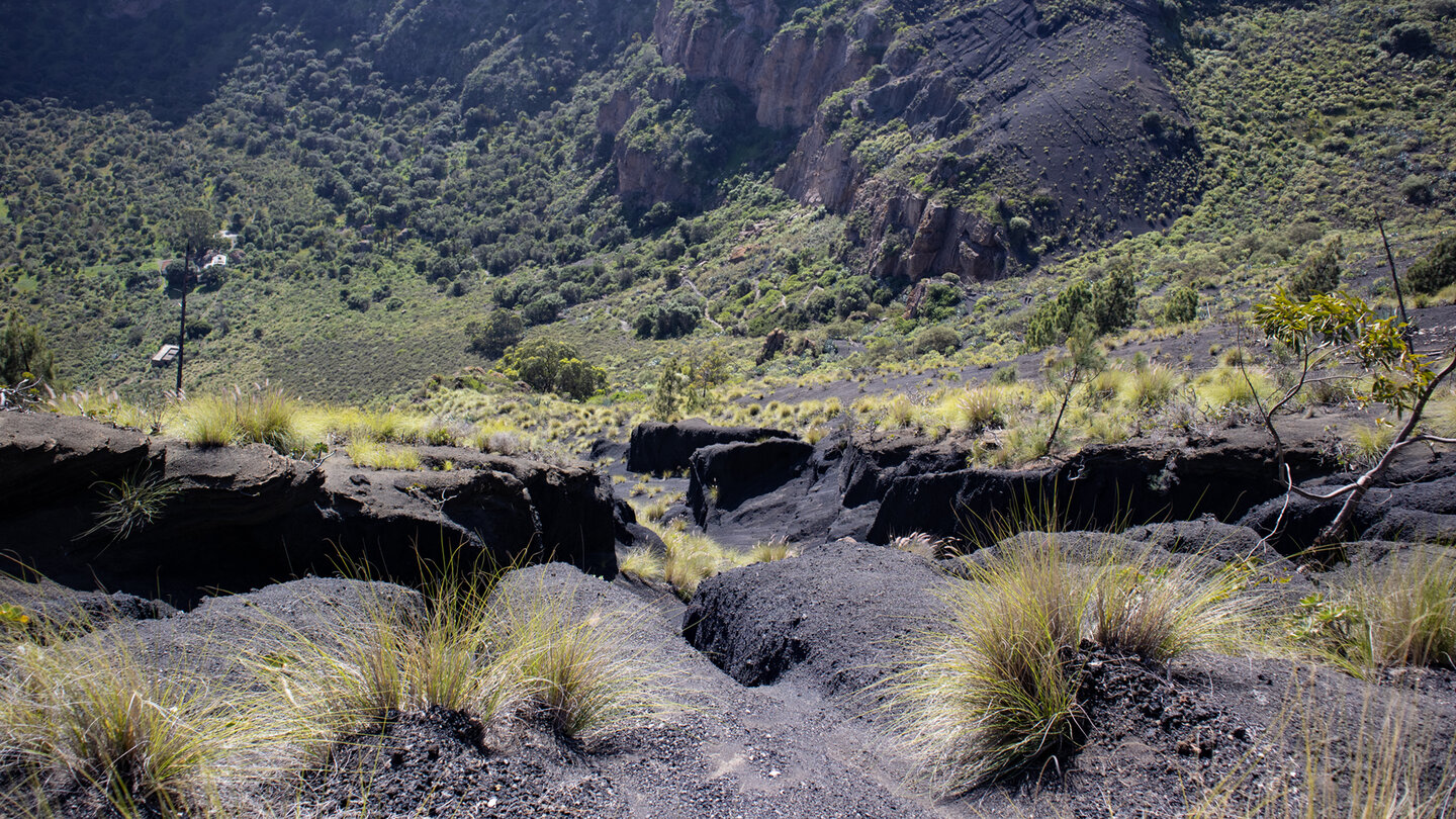 Wanderweg über Lapilliflächen zum Grund der Caldera de Bandama