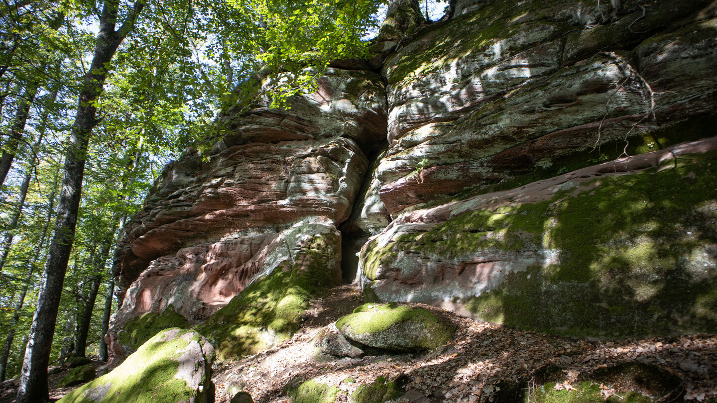 bemooste Felswände am Erbsenfelsen