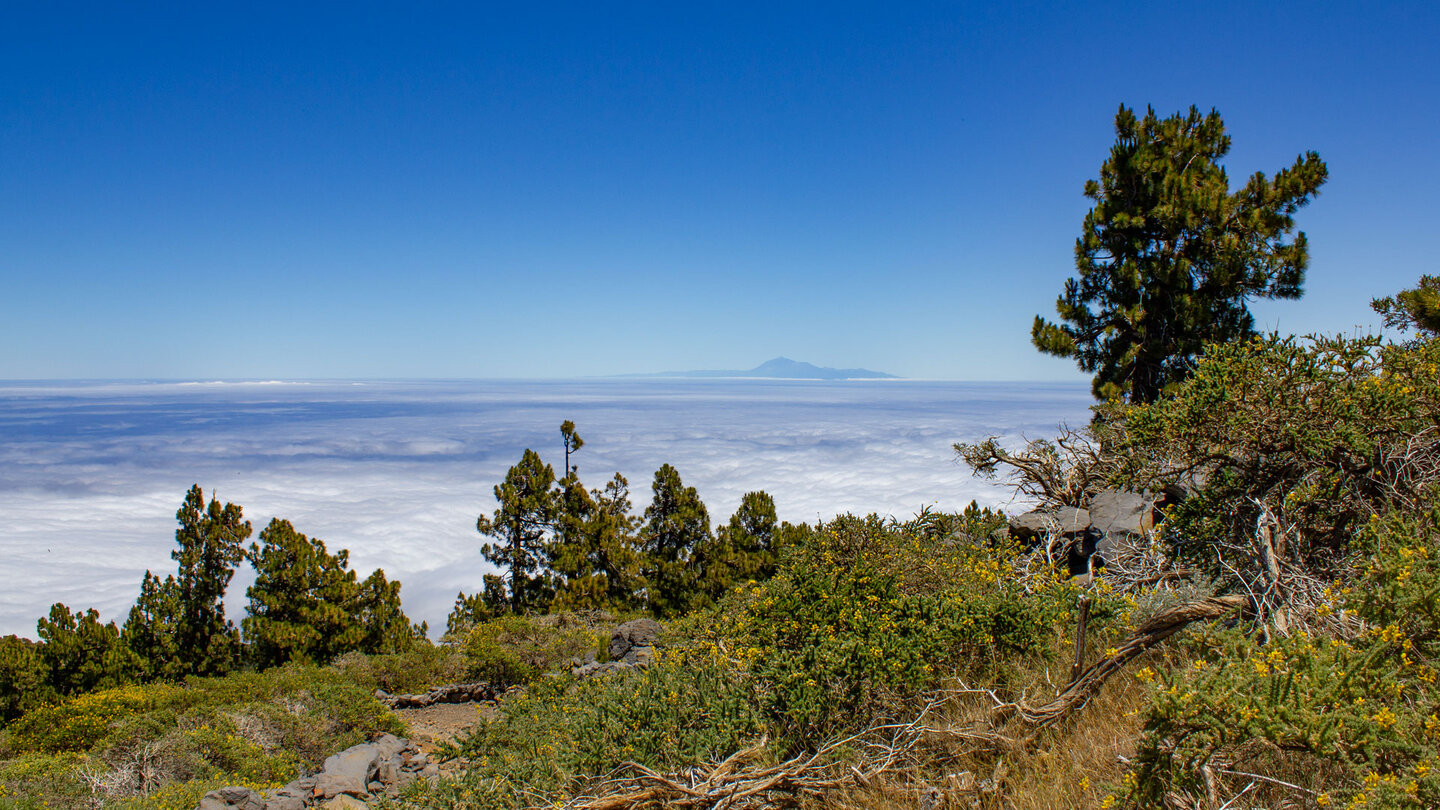 vom Wanderweg PR LP 3 blickt man zur Insel Teneriffa