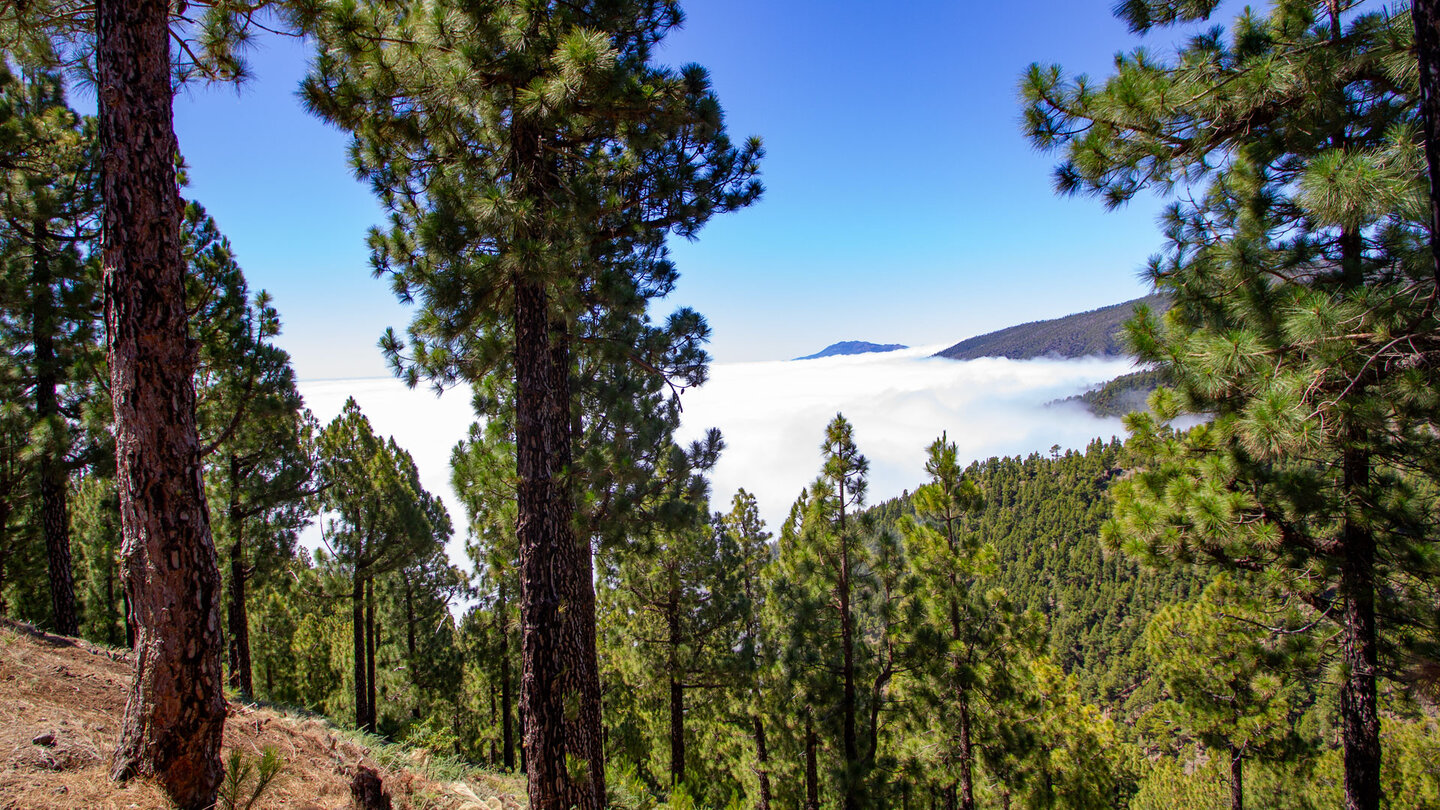 über dem Wolkenmeer an der Ostseite der Insel erhebt sich die Cumbre Vieja