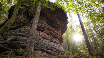 Sandsteinschichtungen am Schusterbänkl