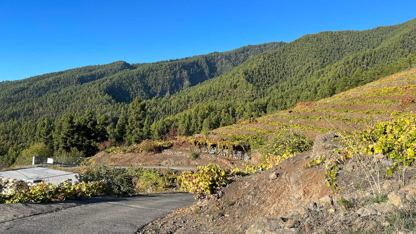 Landschaft am Refugio de Tinizara