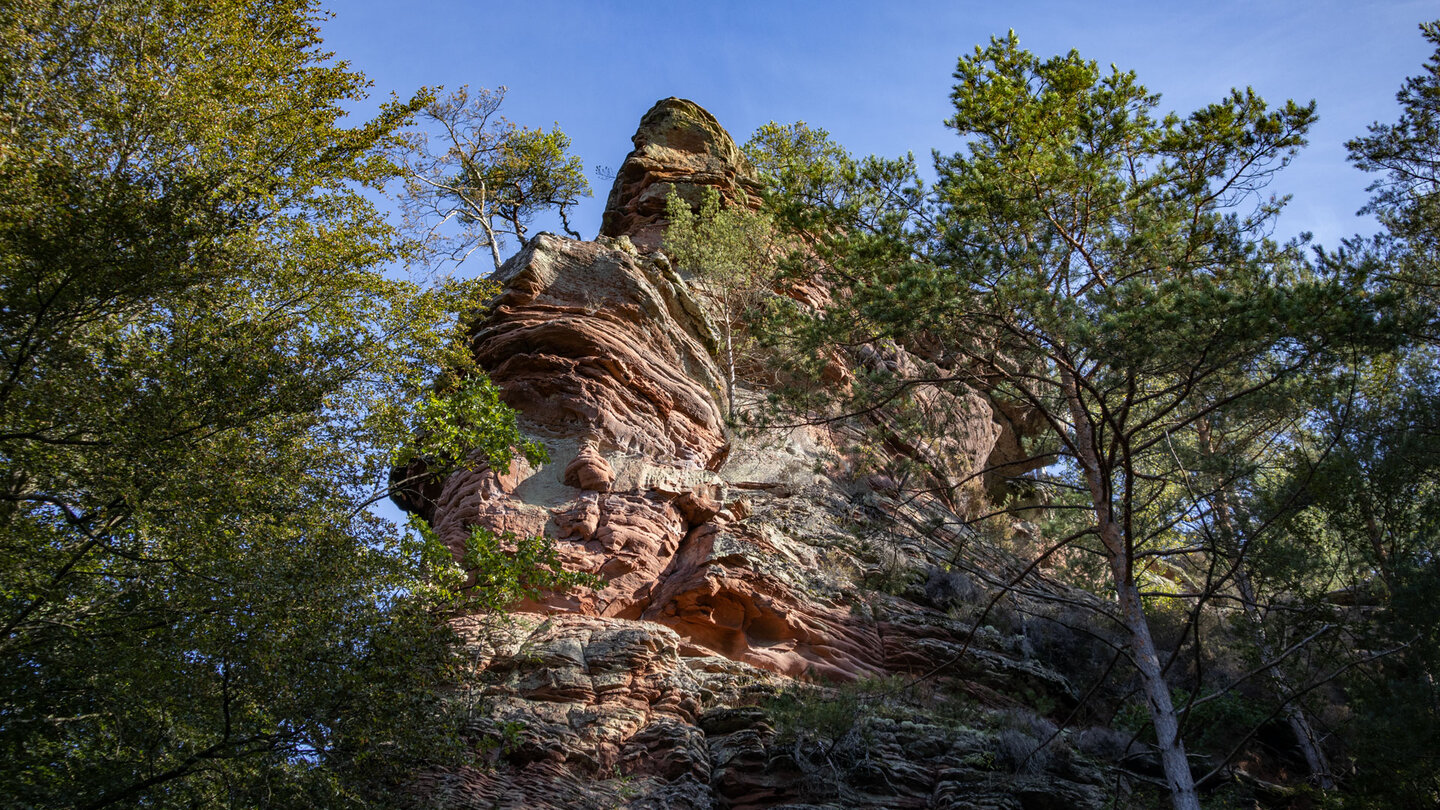 Blick vom Wanderweg auf den hohen Elwetritschefelsen