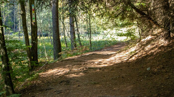 Wanderroute am Seibertsbach