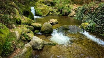 der Rossgumpen am Weg zum Gertelbachwasserfall