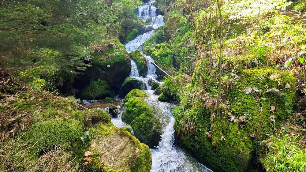 Gertelbach-Wasserfälle im Bühlertal