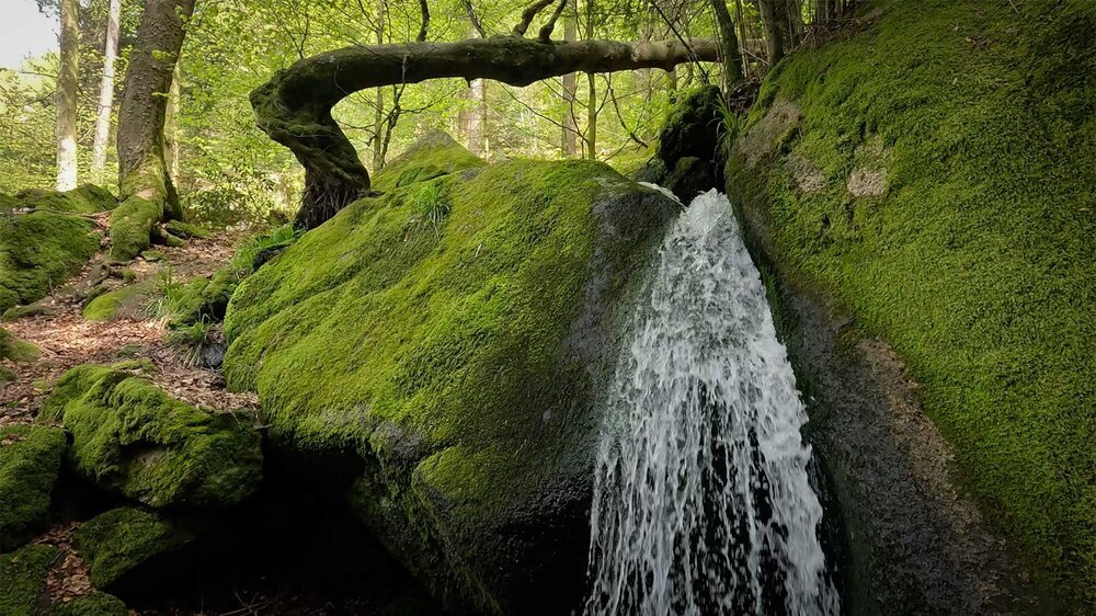 Wasserfall auf dem Weg zu den Falkenfelsen