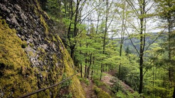 Felswand der Falkenfelsen