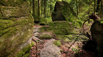 Aufstieg zu den Eulenfelsen