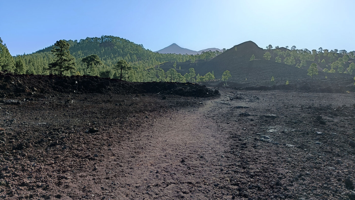 Ausblick auf Teide und Pico Viejo