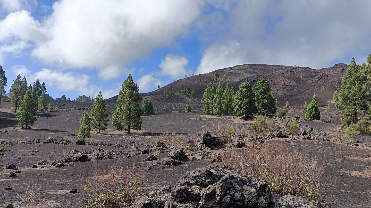 Eruptionsgebiet beim Montaña Negra